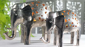 Elephants in the Home