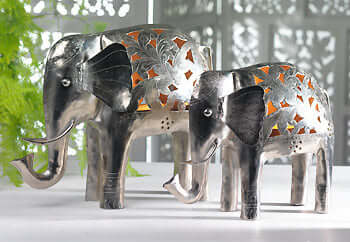 Elephants in the Home