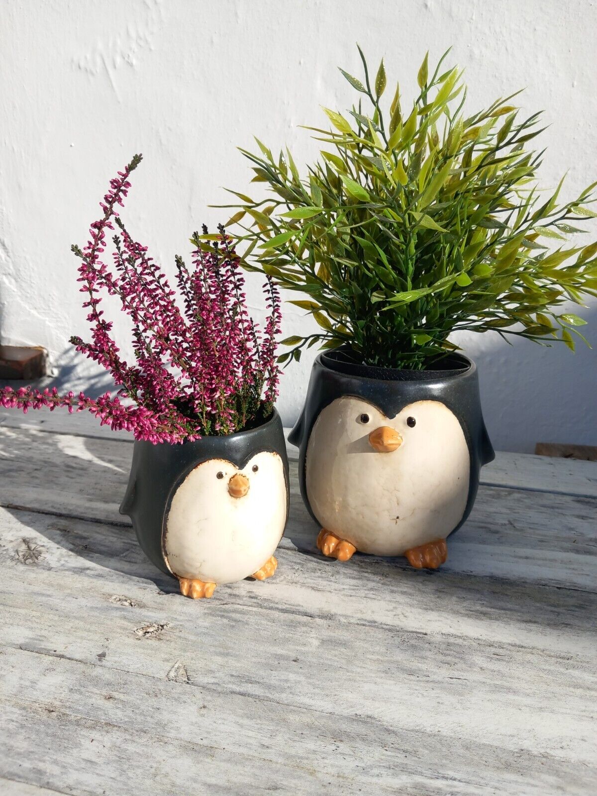 Plant Pot